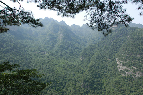 〔图说咸宁〕神奇的大幕山