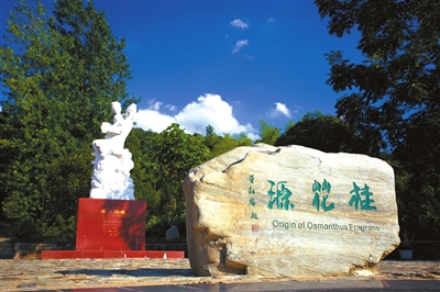 近日,咸安区桂花镇桂花源风景区成为新景点.该景区占地面积2.