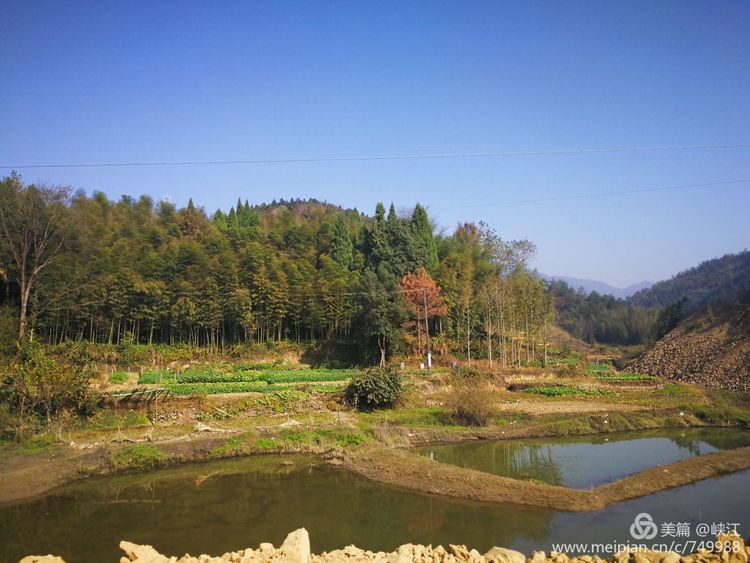 十古仙村崇阳茅井村