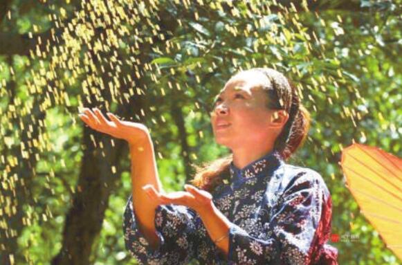 江南桂花香简谱_江南桂花香(3)