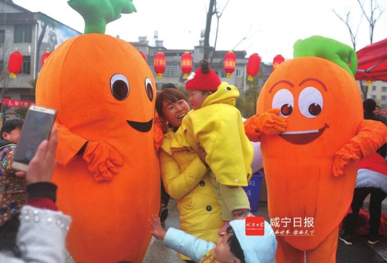 实地感受全省首个田园综合体试点,高桥特色萝卜小镇的独